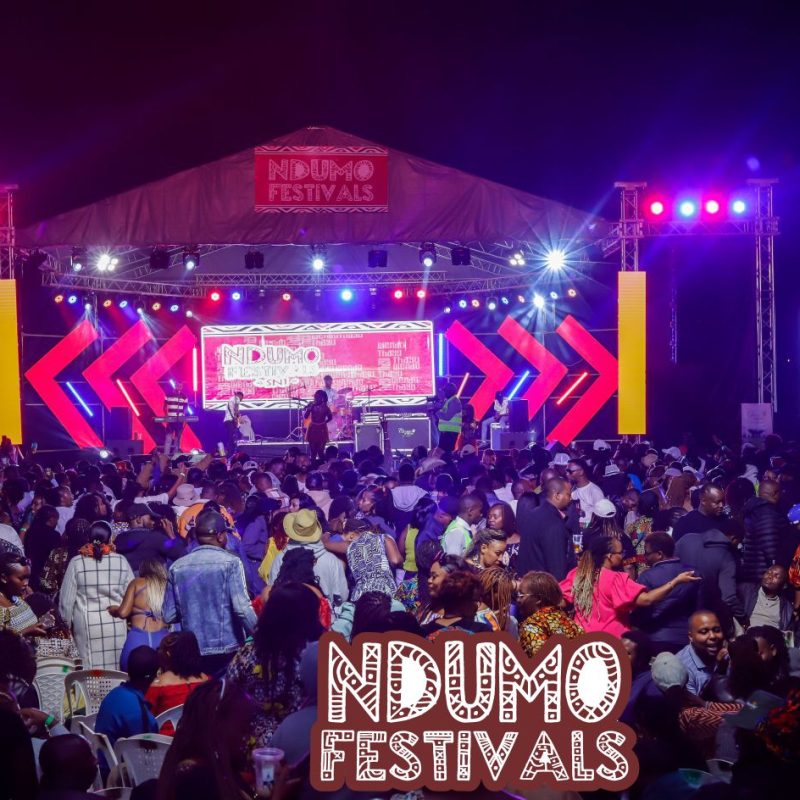 Ndumo Festival - 3.0